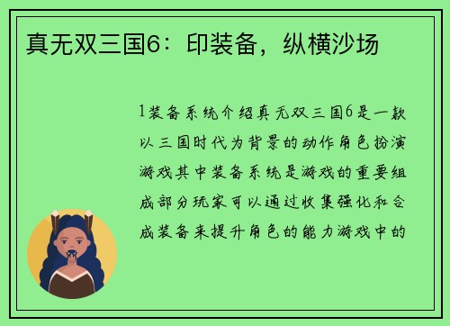 真无双三国6：印装备，纵横沙场